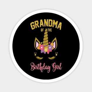 Grandma of the birthday girl Magnet